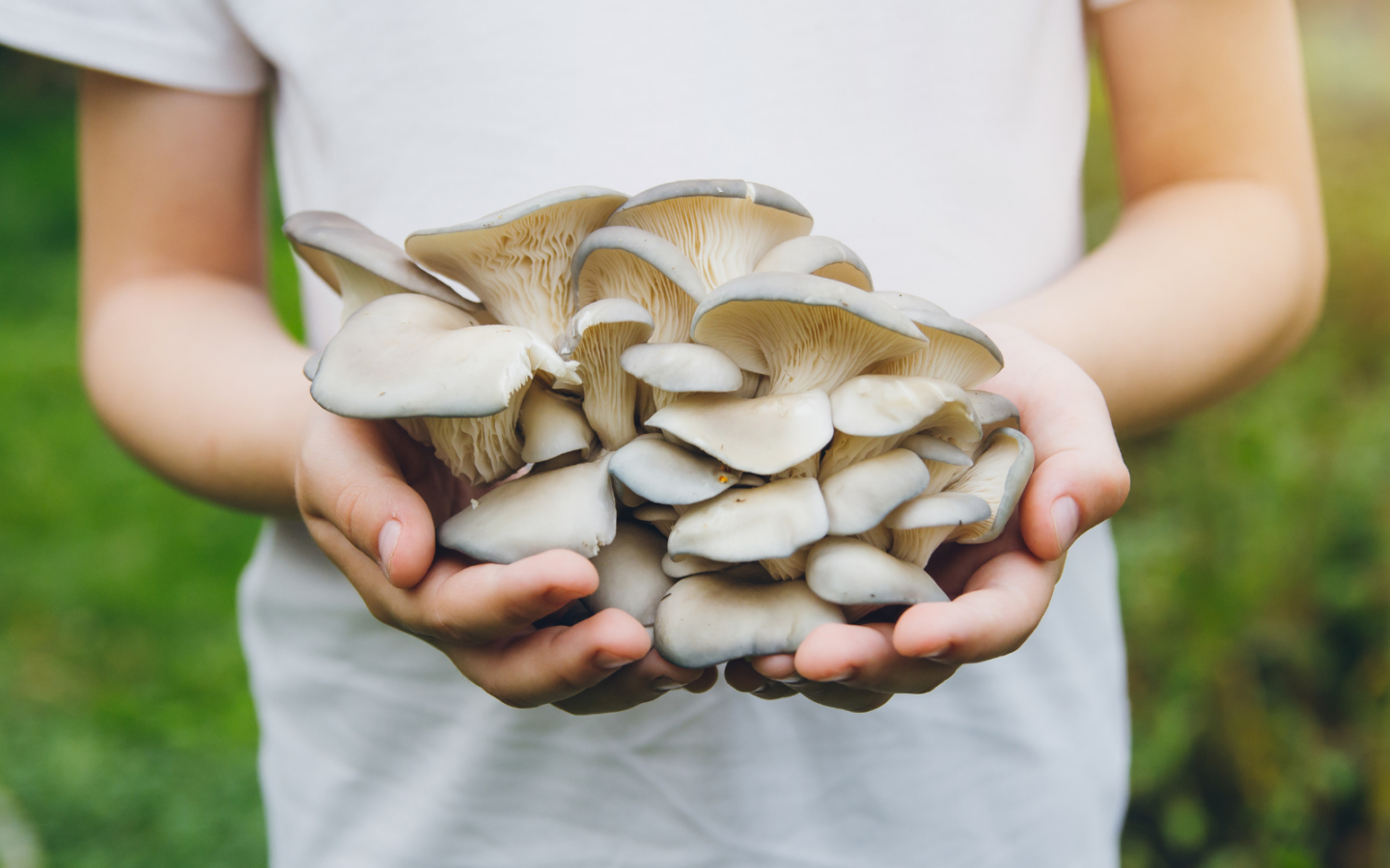 healthiest-mushrooms-blog-title-1440x900